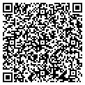 QR code with Lettuce Heads contacts