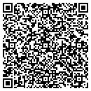 QR code with Crystal Connection contacts
