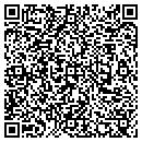 QR code with Pse LLC contacts
