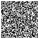 QR code with Chameleon Hair Lounge contacts