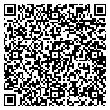 QR code with Myers contacts