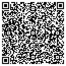 QR code with Blogin Craig L Plc contacts