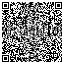 QR code with Premise Solutions LLC contacts