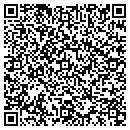 QR code with Colquitt Wayne N DDS contacts
