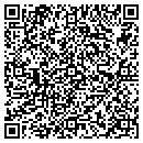 QR code with Professional Ink contacts