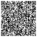QR code with Pyles Zachary W DDS contacts