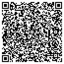 QR code with Punzalan Rowena C MD contacts