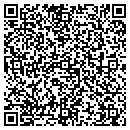 QR code with Protek Analog Group contacts