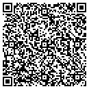 QR code with Puppies of Chandler contacts