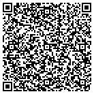 QR code with Professional Pool & Spa contacts
