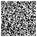 QR code with Project Wireless Inc contacts