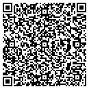 QR code with Pyle Of Pens contacts