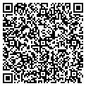 QR code with Wireless Toyz contacts