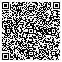 QR code with Pickel contacts