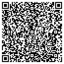 QR code with Premier Systems contacts