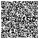 QR code with Borrell Fire Systems contacts