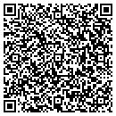 QR code with Professional Wireless contacts
