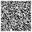 QR code with Premiere Satellite contacts