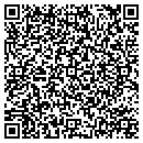 QR code with Puzzles Plus contacts