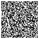 QR code with Professional Writing contacts