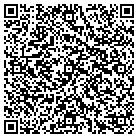 QR code with Blue Sky Car & Limo contacts