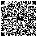 QR code with Carlos M Valdes DMD contacts