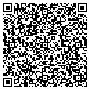 QR code with Pro-Nails 290 contacts