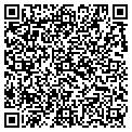QR code with P Lama contacts