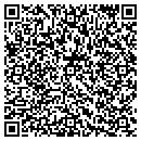 QR code with Pugmarks Inc contacts