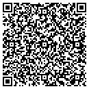 QR code with 513 Corp contacts