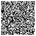 QR code with Amscot contacts