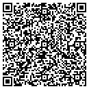 QR code with Publix contacts