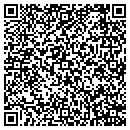 QR code with Chapman Andrew E DO contacts