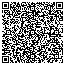 QR code with Project Impact contacts