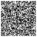 QR code with Psv Trucking Corp contacts