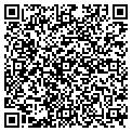 QR code with P Wong contacts