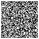 QR code with Chi Town Trucking Inc contacts