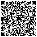 QR code with Pugh Lamar P contacts