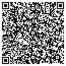 QR code with Provider Insights Inc contacts
