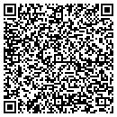 QR code with Pvs Chemicals Inc contacts