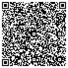 QR code with City Pulse Acupuncture contacts