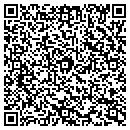 QR code with Carstensen Bruce DDS contacts