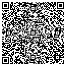 QR code with Chiffelle Rochelle A contacts