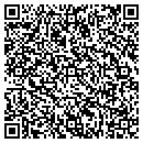 QR code with Cyclone Systems contacts