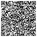 QR code with Brigitte R Eichacker contacts