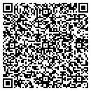 QR code with Team Excel Cashflow contacts