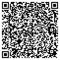 QR code with Dntst contacts