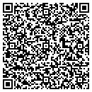 QR code with Carl G George contacts