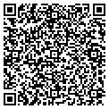 QR code with Halls contacts