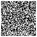QR code with Project 515 contacts